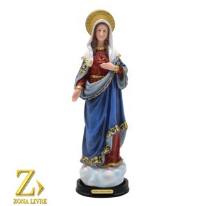 SAGRADO CORAÇÃO DE MARIA 22CM